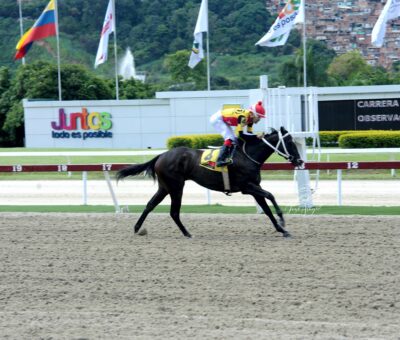 Fast Sensations, horse, Haras Los Caracaros, Clásico Simón Rodríguez, domingo, 6 de agosto de 2023, La Rinconada. Foto: José Antonio Aray