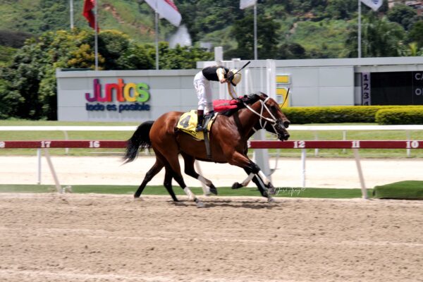 Lyndacarter, horse, Vacation, Clásico Copa Cruz Del ávila, domingo, 27 de agosto de 2023, La Rinconada. Foto: José Antonio Aray
