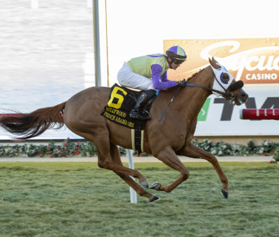 Prince Abama, Horses, Tamayuz (IRE), Hollywood Turf Cup Stakes, viernes, 25 de noviembre de 2022, Del Mar. Foto: Benoit Photo