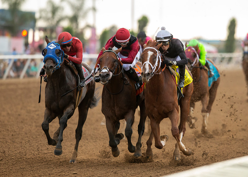 The Chosen Vron, horse, Vronsky, Bing Crosby Stakes, sábado, 29 de julio de 2023, Del Mar. Foto: Benoit Photo