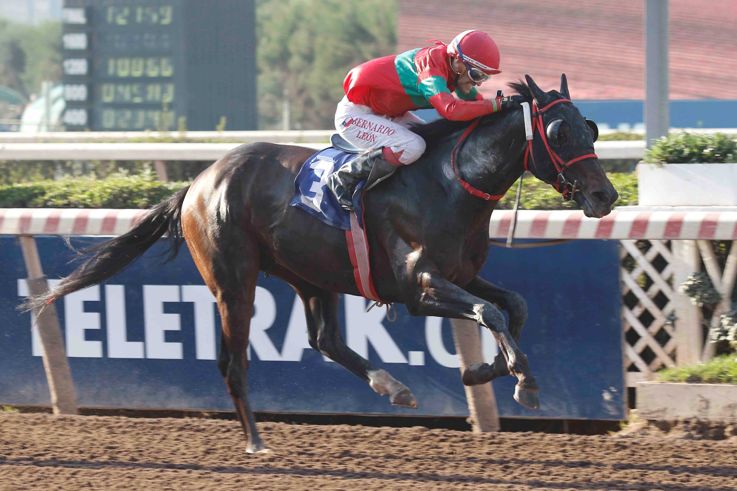 The Thor, horse, Haras Sumaya, Clásico Asociación Gremial De Preparadores Hipódromo, sábado, 12 de agosto de 2023, Hipódromo Chile. Foto: Jaime Cortés