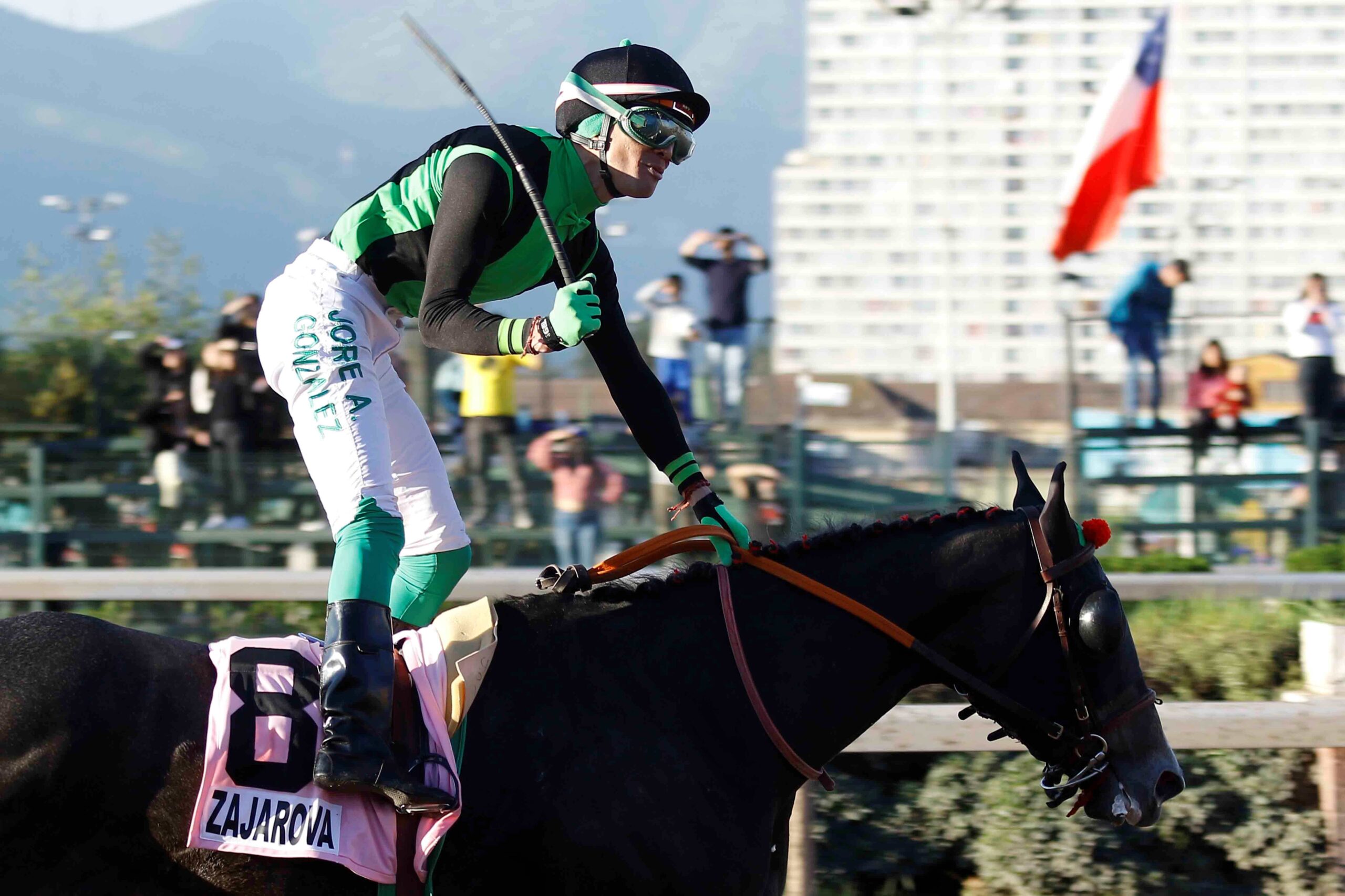Zajarova, horse, Haras Porta Pía, Clásico Mil Guineas, sábado, 26 de agosto de 2023, Hipódromo de Chile. Foto: Jaime Cortés