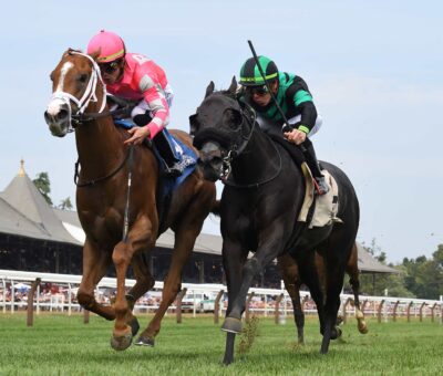Amidst Waves, horse, Midshipman, Bolton Landing Stakes, domingo, 20 de agosto de 2023, Saratoga. Foto: Coglaniese Photo