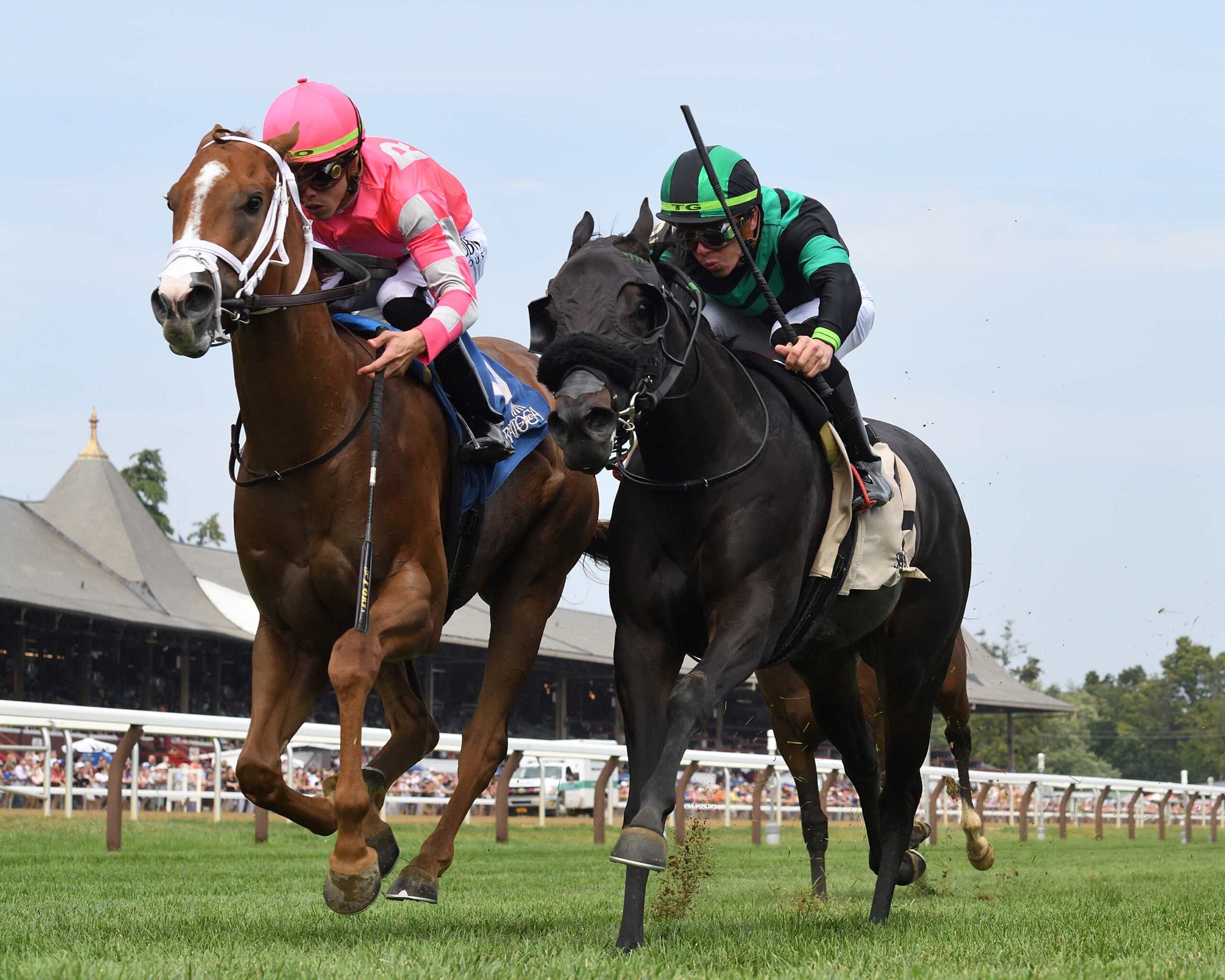 Amidst Waves, horse, Midshipman, Bolton Landing Stakes, domingo, 20 de agosto de 2023, Saratoga. Foto: Coglaniese Photo