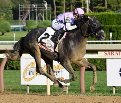 Arcangelo, horse, Don Alberto Corporation, Travers Stakes, sábado, 26 de agosto de 2023, Saratoga. Foto: Coglaniese Photo