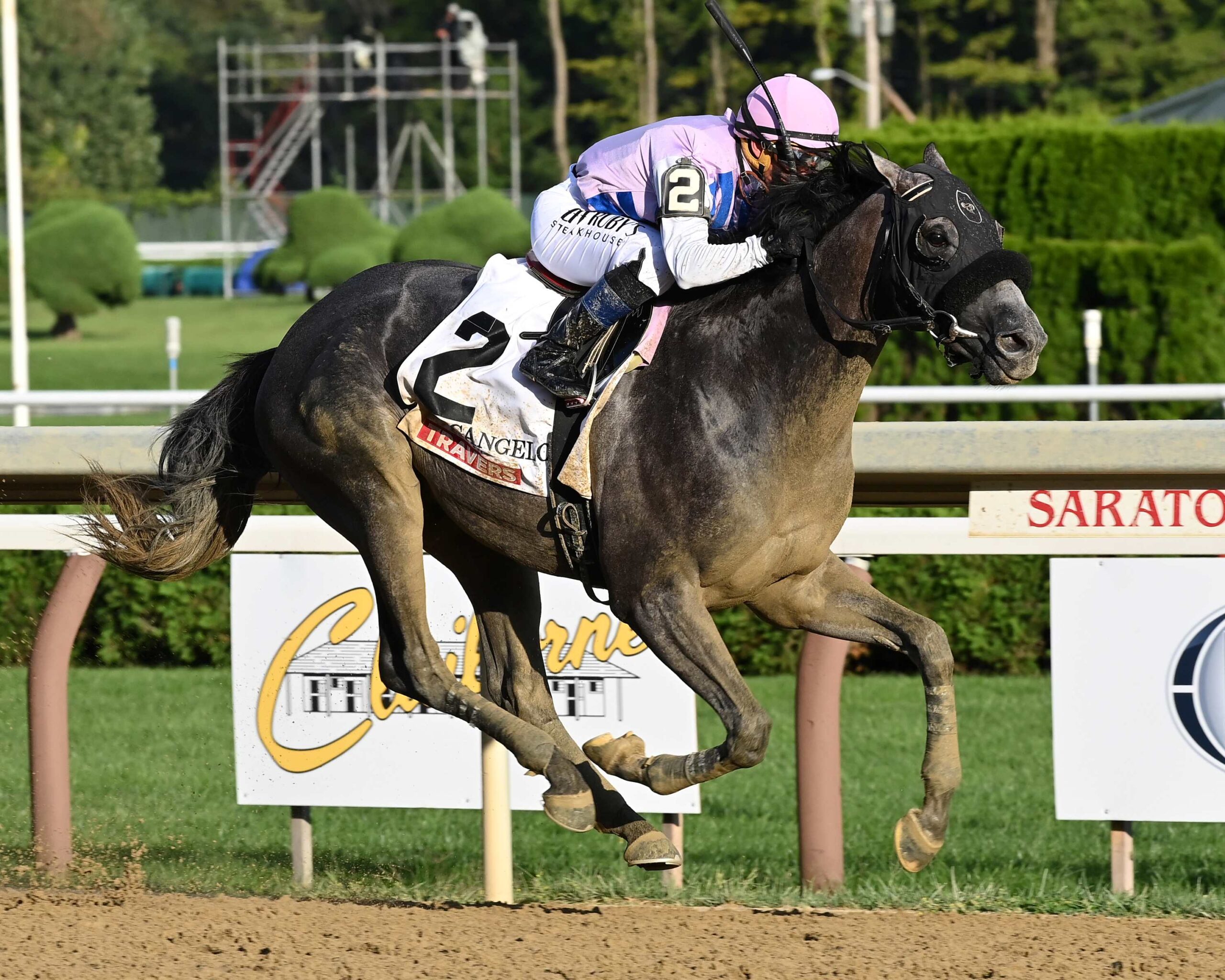 Arcangelo, horse, Don Alberto Corporation, Travers Stakes, sábado, 26 de agosto de 2023, Saratoga. Foto: Coglaniese Photo