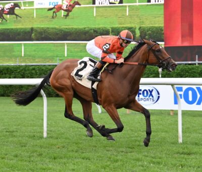 Aspray, horse, Quality Road, Lake Placid Stakes, sábado, 19 de agosto de 2023, Saratoga. Foto: Coglaniese Photo