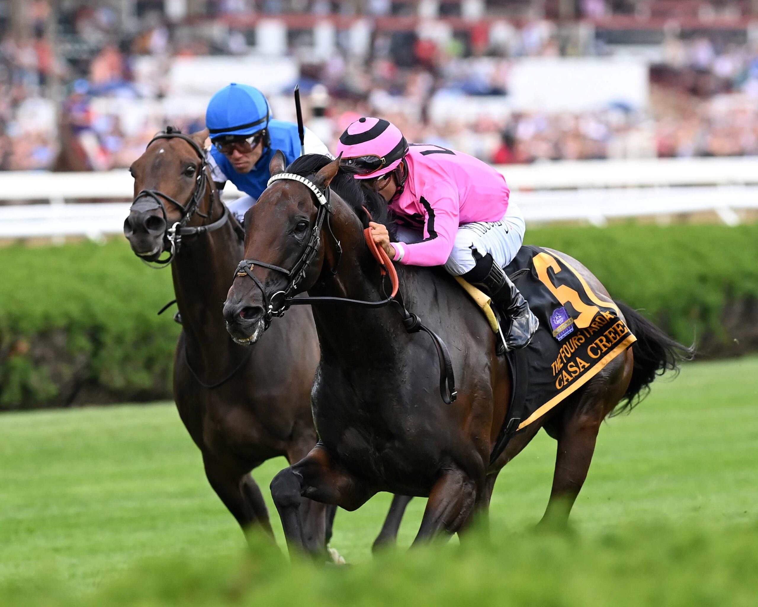 Casa Creed, horse, Jimmy Creed, Fourstardave Handicap, sábado, 12 de agosto de 2023, Saratoga. Foto: Coglaniese Photo & Chelsea Durand