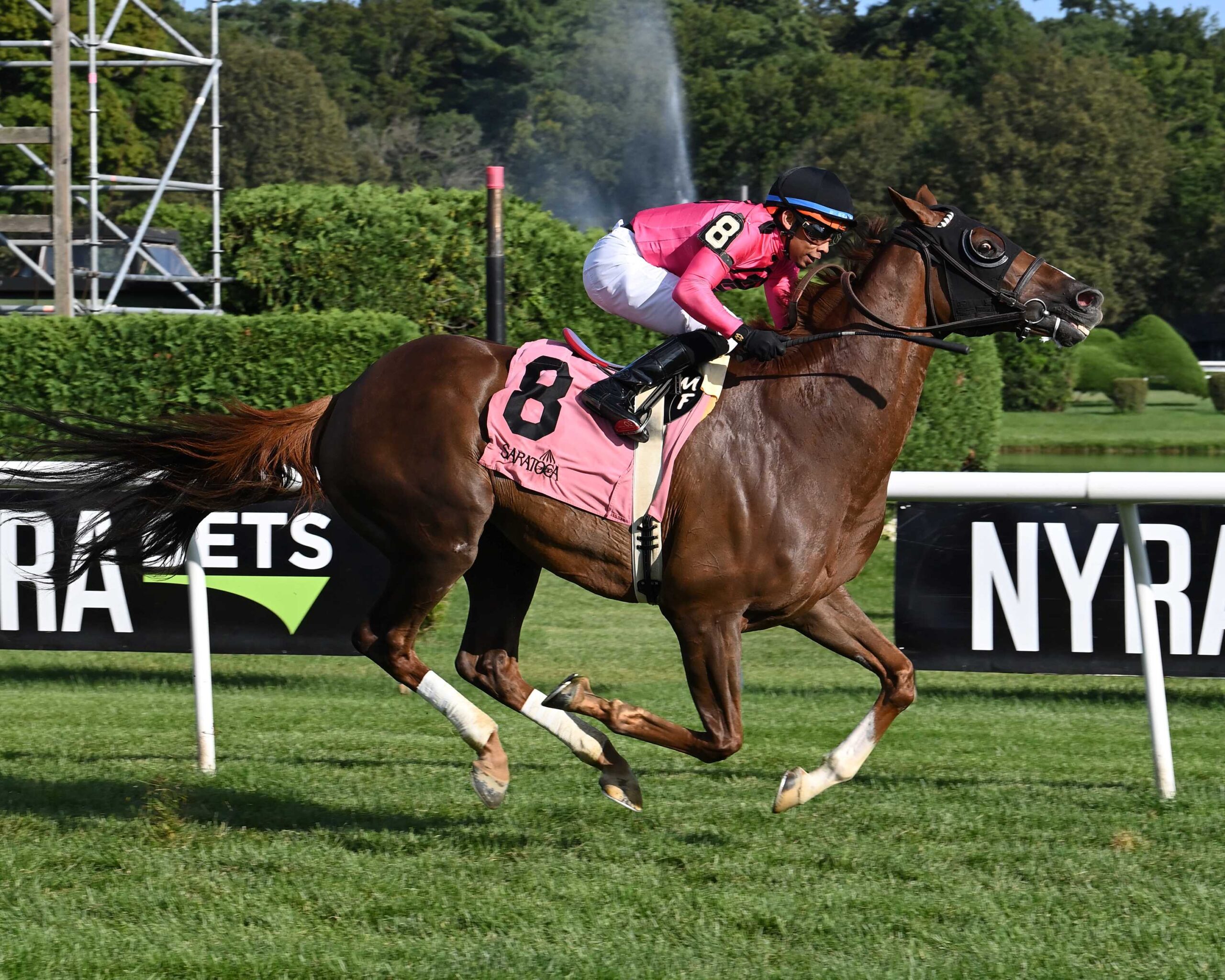Channel Maker, horse, Reeves Throughbreed Racing, Bowling Green Stakes, domingo, 30 de julio de 2023, Saratoga. Foto: Coglaniese Photo