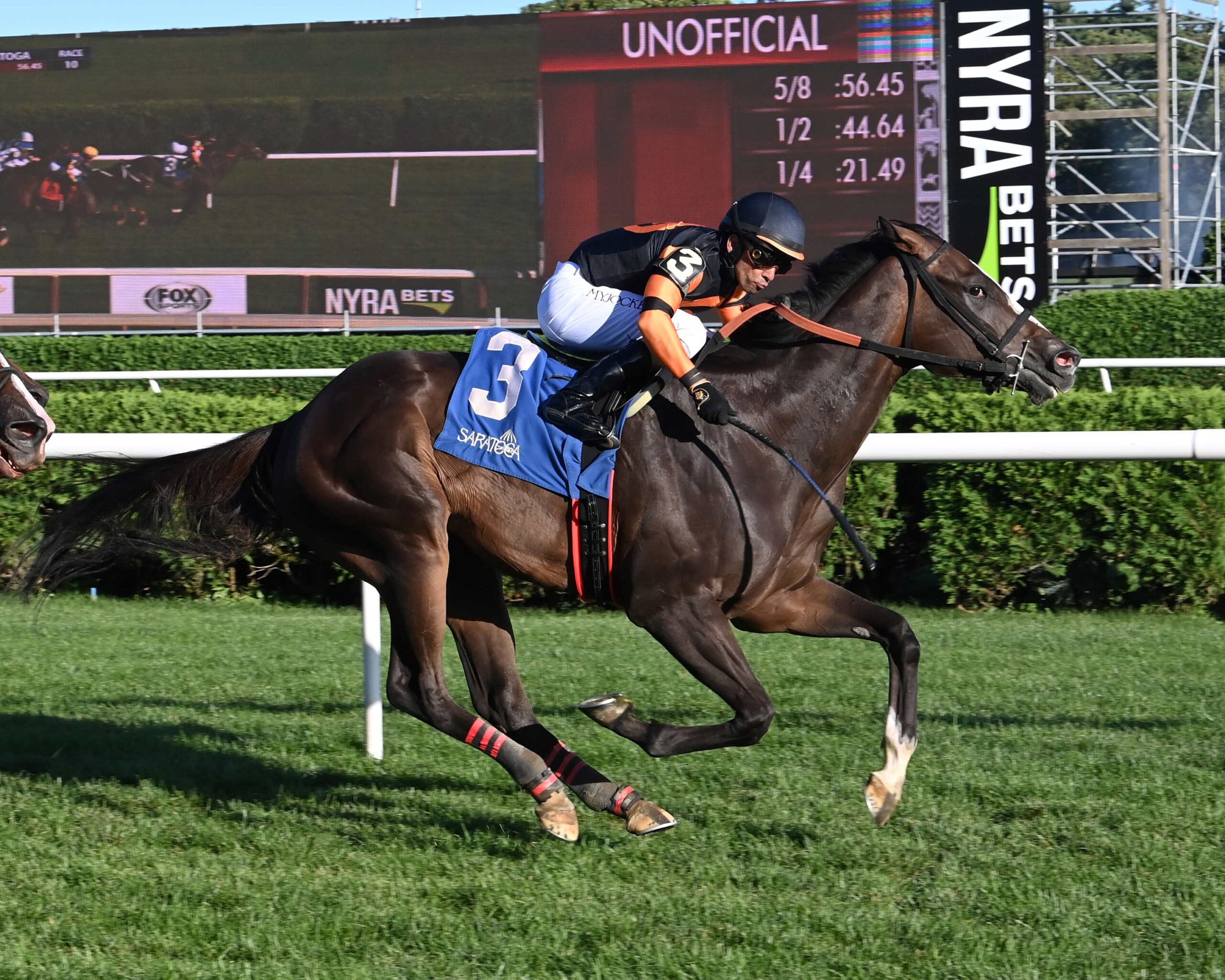 Closethegame Sugar, horse, Girvin, Mahony Stakes, domingo, 13 de agosto de 2023, Saratoga. Foto: Coglaniese Photo