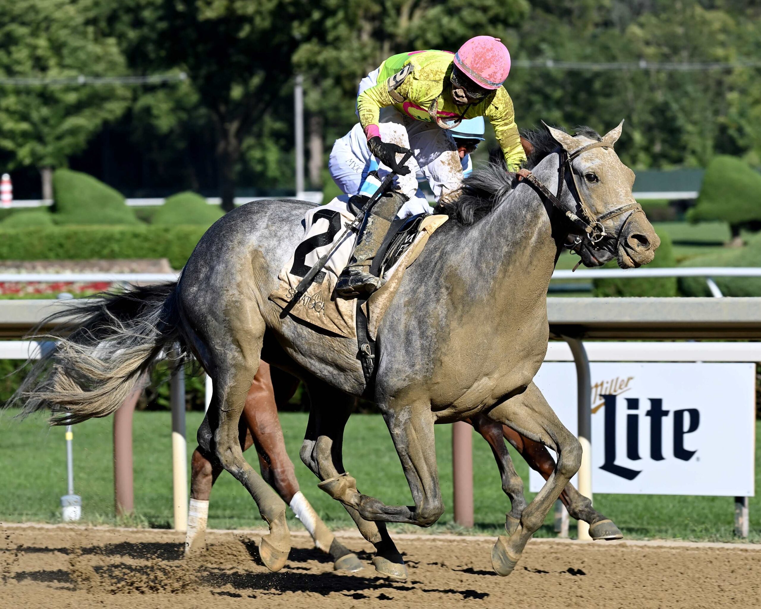 Dr. Ardito, horse, Liam´s Map, Shipman Stakes, viernes, 11 de agosto de 2023, Saratoga. Foto: Coglaniese Photo