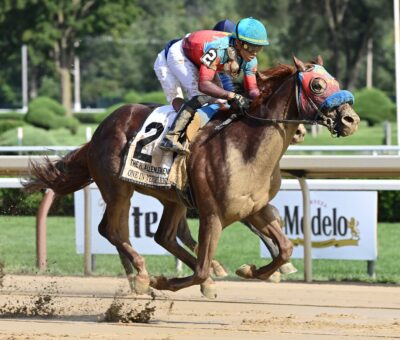 One In Vermillion, horse, Army Mule, H. Allen Jerkens Stakes, sábado, 26 de agosto de 2023, Saratoga. Foto: Coglaniese Photo