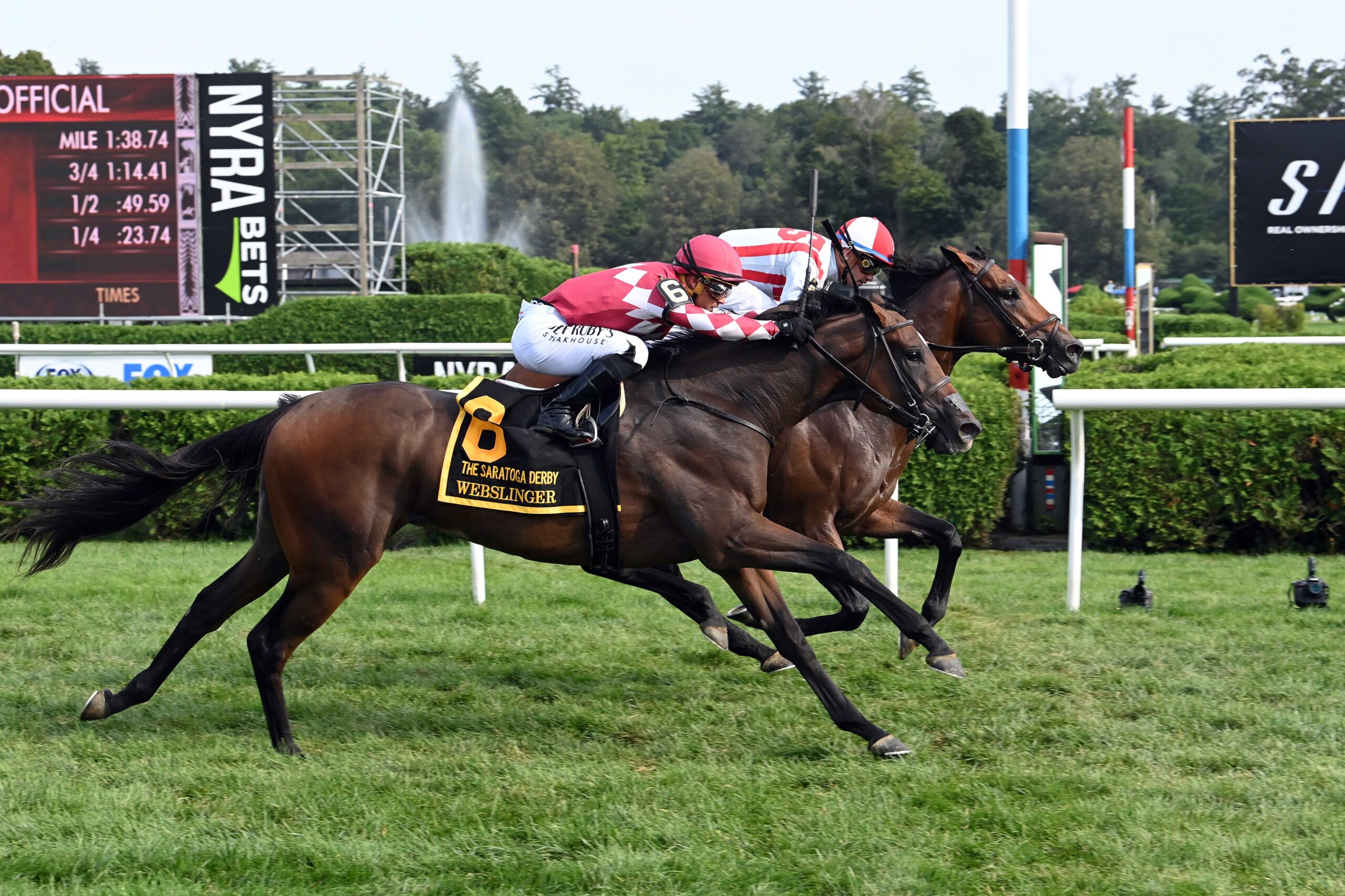 Program Trading, horse, Lope De Vega, Saratoga Derby Invitational, sábado, 5 de agosto de 2023, Saratoga. Foto: Coglaniese Photo