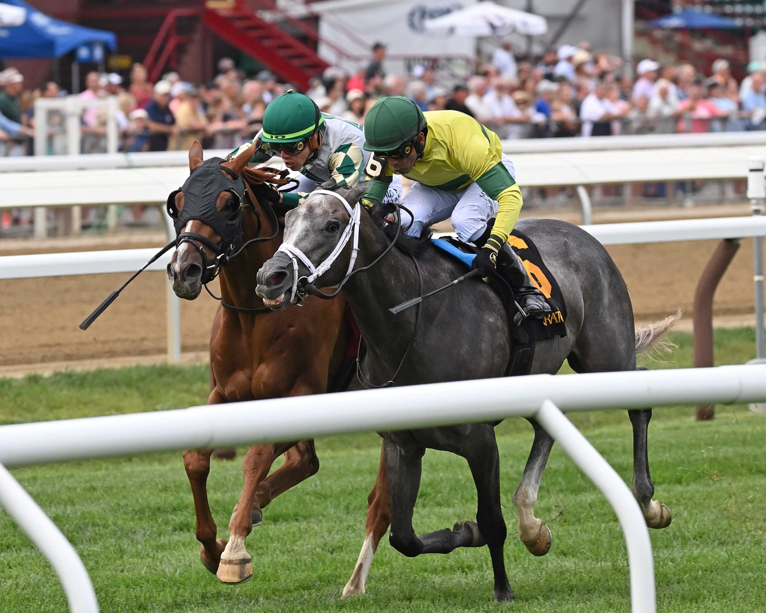 Ramblin´ Wreck, horse, Redesdale, Rick Violette Stakes, jueves, 17 de agosto de 2023, Saratoga. Foto: Coglaniese Photo & Chelsea Durand
