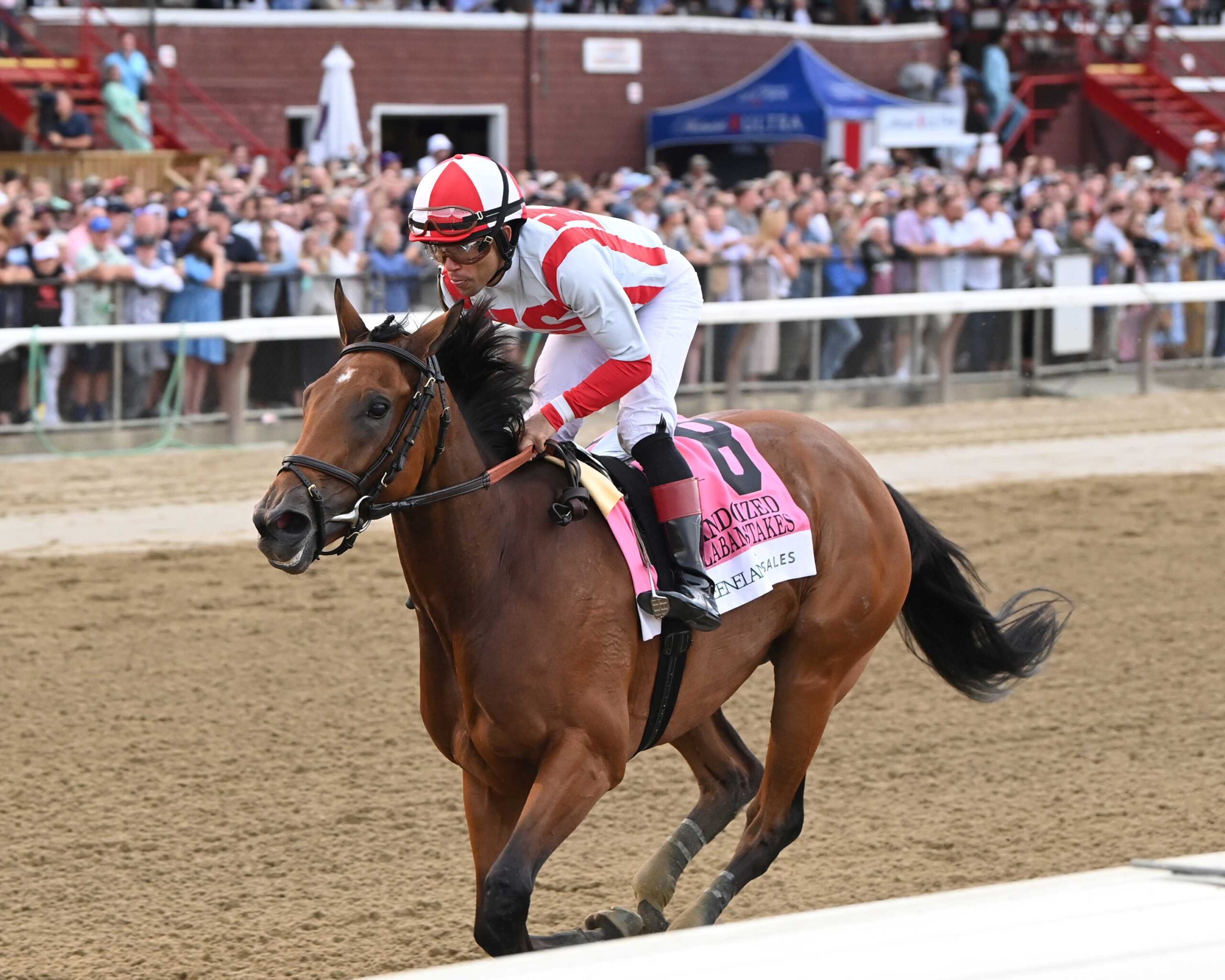 Randomized, horse, Nyquist, Alabama Stakes, sábado, 19 de agosto de 2023, Saratoga. Foto: Coglaniese Photo & Chelsea Durand