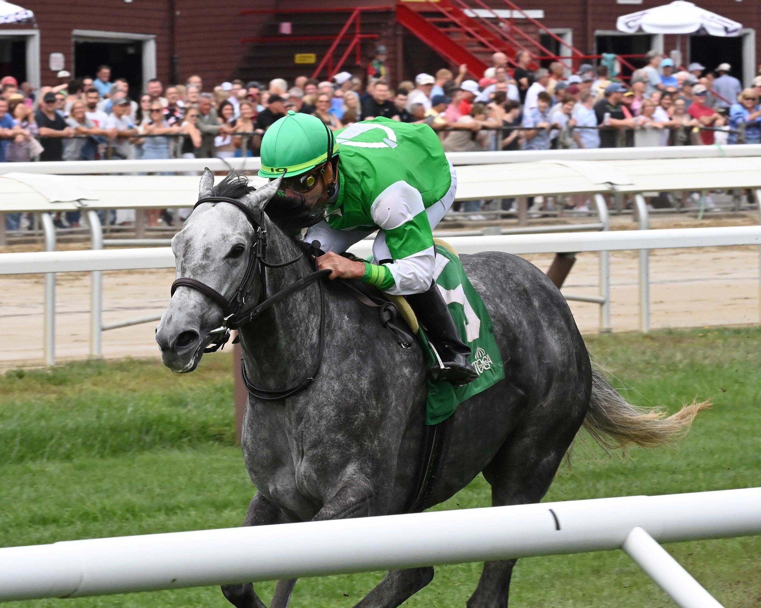 Roses For Debra, horse, Liam´s Map, Smart N Fancy Stakes, viernes, 25 de agosto de 2023, Saratoga. Foto: Coglaniese Photo & Chelsea Durand