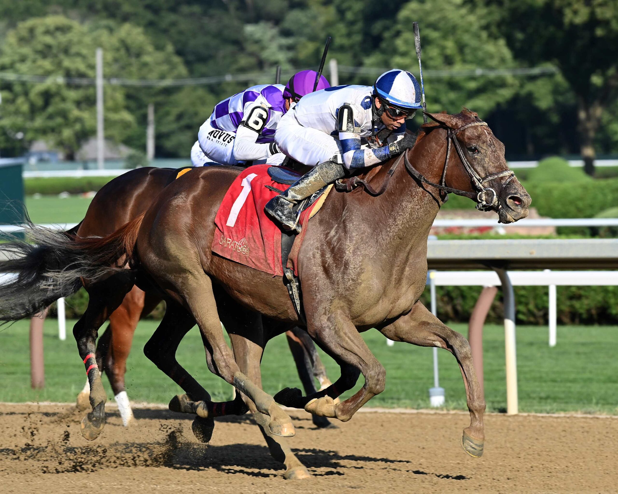 Venti Valentine, horse, Firing Line, Johnstone Mile Hándicap, miércoles, 9 de agosto de 2023, Saratoga. Foto: Coglaniese Photo