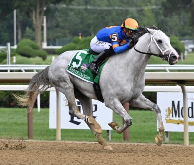 White Abarrio, horse, Spendthrift Farm, Whitney Stakes, sábado, 5 de agosto de 2023, Saratoga. Foto: Coglaniese Photo