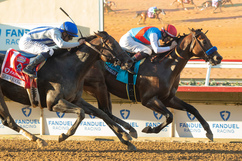 Arabian Knight, horse, Uncle Mo, Pacific Classic, sábado, 2 de septiembre de 2023, Del Mar. Foto: Benoit Photo