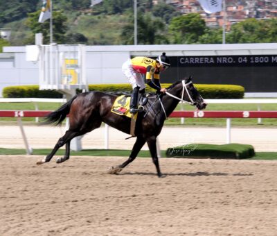 Fast Sensations, horse, Haras Los Caracaros, Clásico Gelinotte, domingo, 17 de septiembre de 2023, La Rinconada. Foto: José Antonio Aray