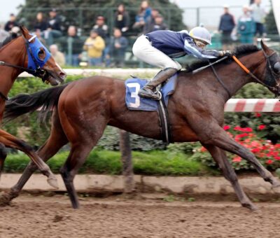 Franco Diablo, horse, Practical Joke, Clásico Enfático, sábado, 9 de septiembre de 2023, Hipódromo Chile. Foto: Jaime Cortés