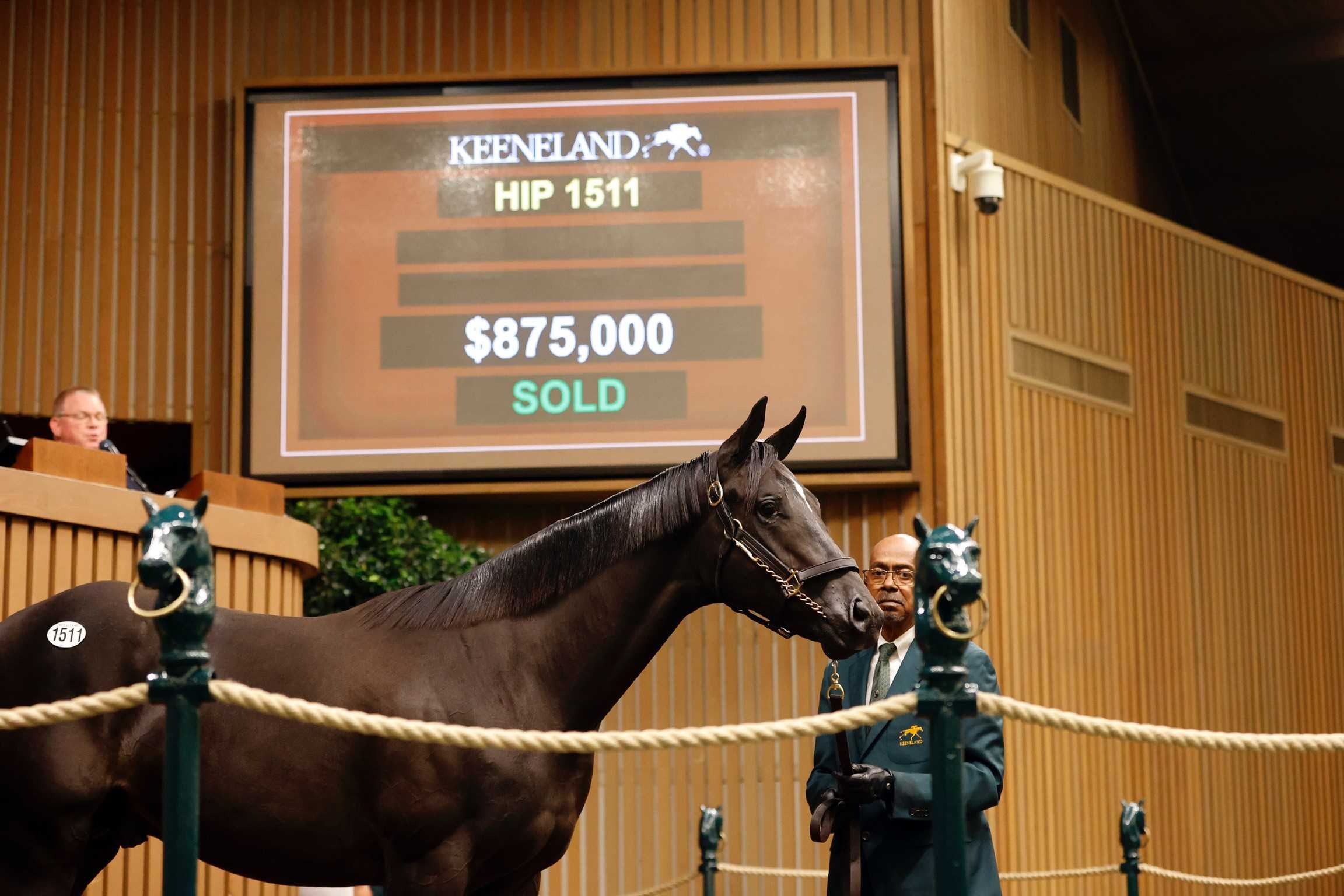 Yearling, 1511, Potro, Authentic, sesión 5, Keeneland Sales, sábado, 16 de septiembre de 2023, Keeneland. Foto: Keeneland