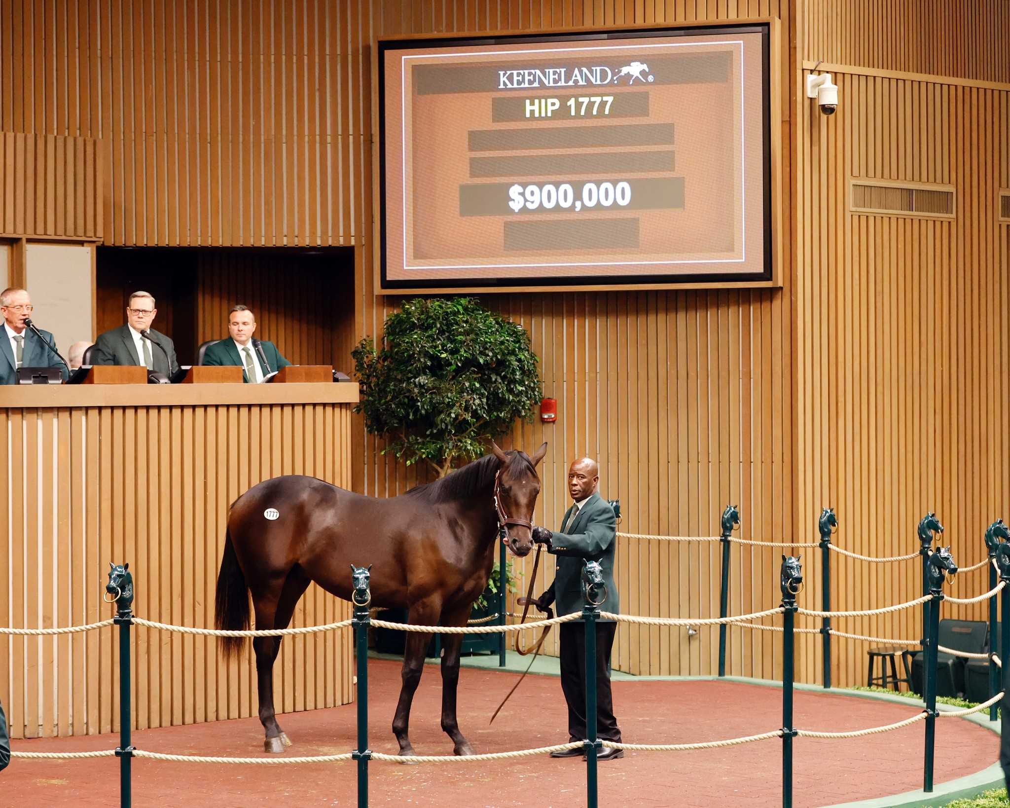 Yearling, 1777, Potro, Constitution en Low Pressure Zone por Curlin, sesión 6, Keeneland Sales, domingo, 17 de septiembre de 2023, Keeneland. Foto: Keeneland