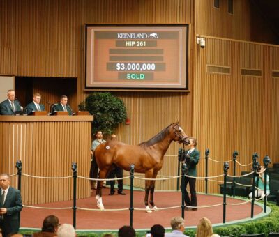 Yearling, 261, Potro, Into Mischief en Nonna Mia por Empire Maker, sesión 2, Keeneland Sales, martes, 12 de septiembre de 2023, Keeneland. Foto: Keeneland