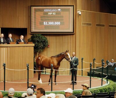 Yearling, 92, Potranca, Into Mischief en Delightful Joy por Tapit, sesión 1, Keeneland Sales, lunes, 11 de septiembre de 2023, Keeneland. Foto: Keeneland