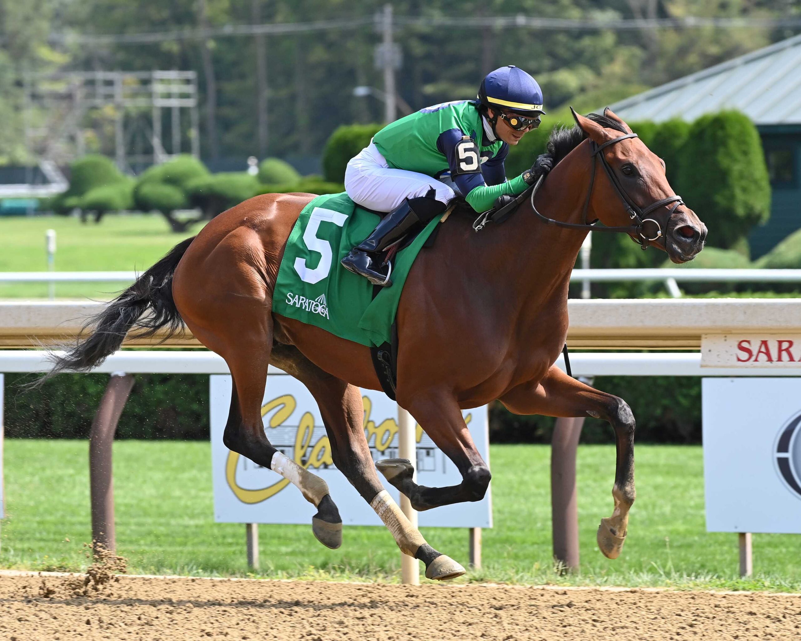 Ichiban, horse, Street Sense, Fleet Indian Stakes, domingo, 27 de agosto de 2023, Saratoga. Foto: Coglaniese Photo