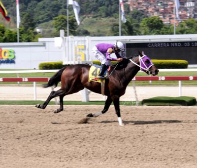 Li Tre Fratelli, horse, Haras Urama, Clásico Millard Ziadie, domingo, 17 de septiembre de 2023, La Rinconada. Foto: José Antonio Aray