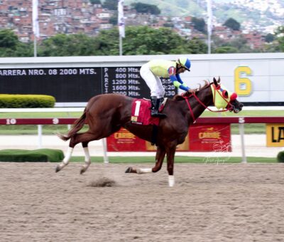 Rod Hendrick, horse, Haras Los Caracaros, Clásico José María Vargas, domingo, 24 de septiembre de 2023, La Rinconada. Foto: José Antonio Aray