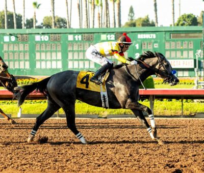 Yuki, Horses, The Lumber Guy, Dark Mirage Stakes, sábado, 23 de septiembre de 2023, Los Alamitos. Foto: Benoit Photo