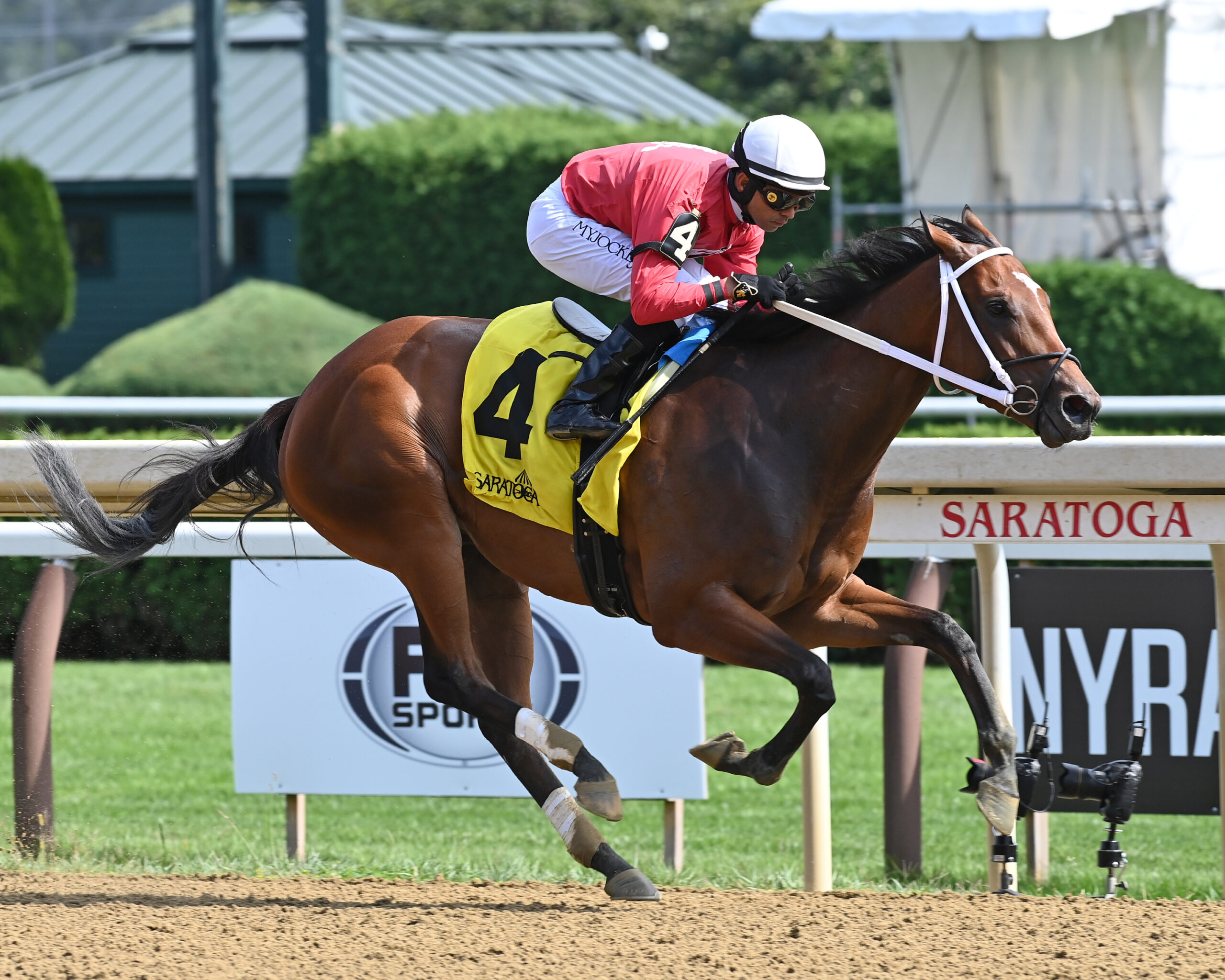Alva Starr, horses, Lord Nelson, Prioress Stakes, sábado, 2 de septiembre de 2023, Saratoga. Foto: Coglaniese Photo