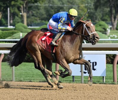 Caldwell Luvs Gold, horse, Goldencents, Seeking The Ante Stakes, domingo, 27 de agosto de 2023, Saratoga. Foto: Coglaniese Photo