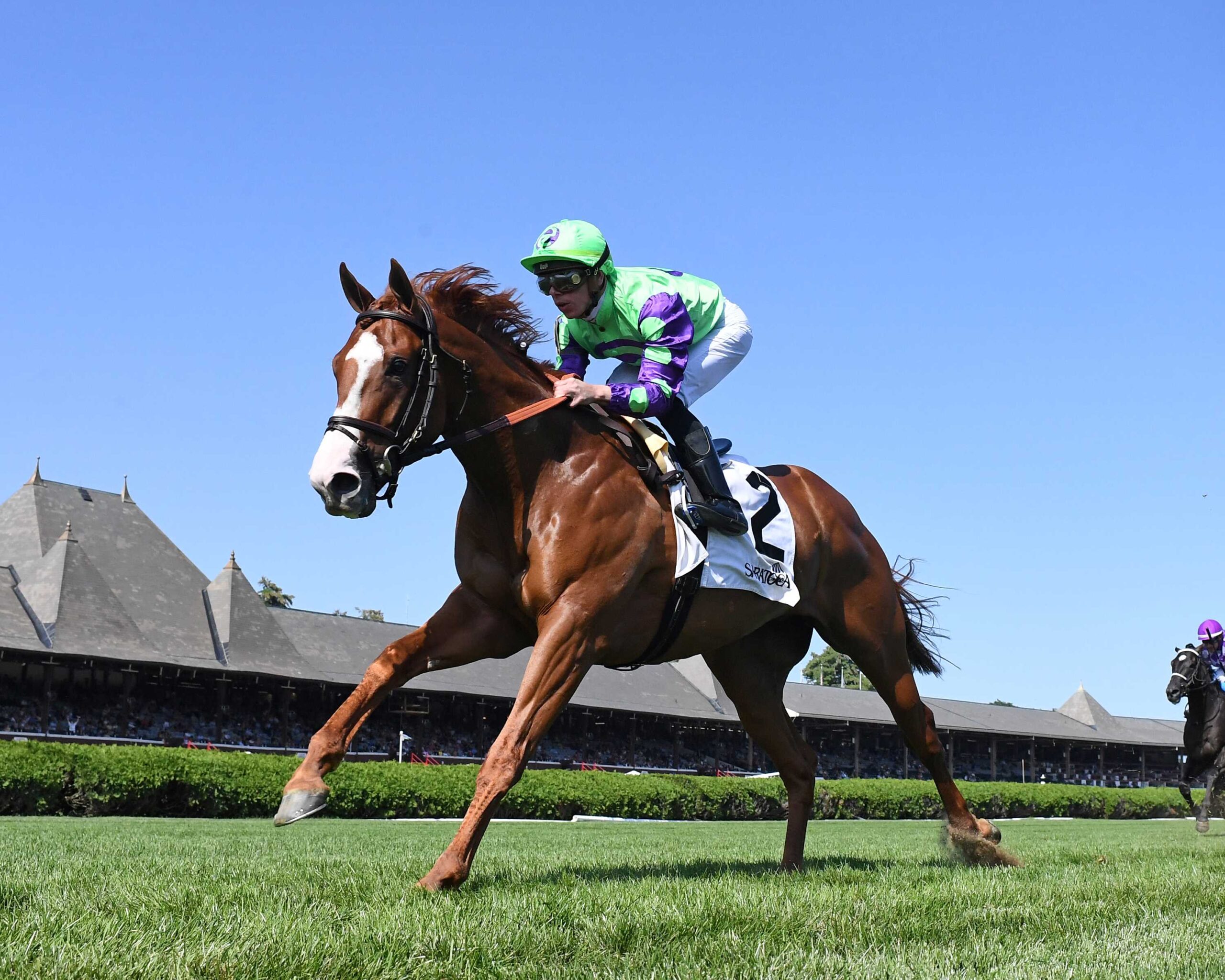 Carl Spackler, horse, Lope De Vega (IRE), Saranac Stakes, viernes, 1 de septiembre de 2023, Saratoga. Foto: Coglaniese Photo