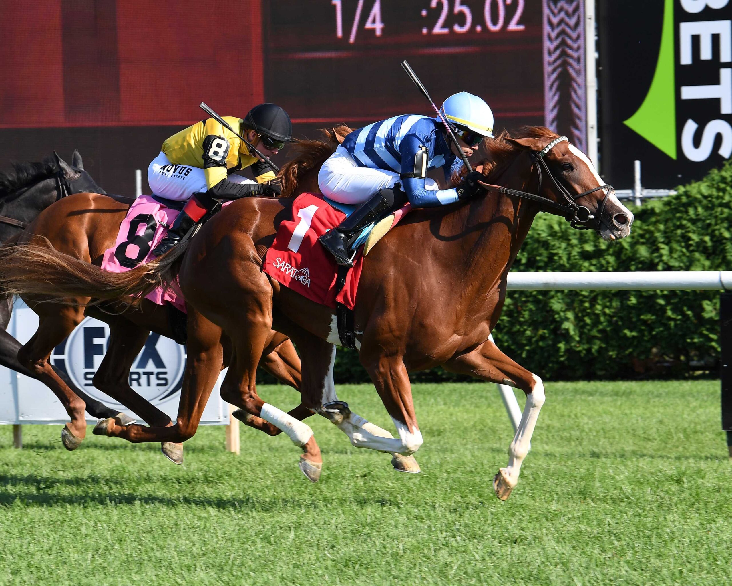 Gala Brand, horse, Violence, With Anticipation Stakes, jueves, 31 de agosto de 2023, Saratoga. Foto: Coglaniese Photo
