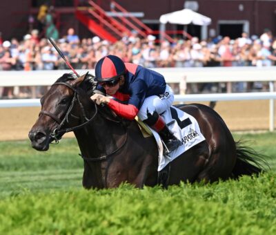 New Ginya, horse, Tonalist, Yadoo Stakes, domingo, 27 de agosto de 2023, Saratoga. Foto: Coglaniese Photo & Chelsea Durand