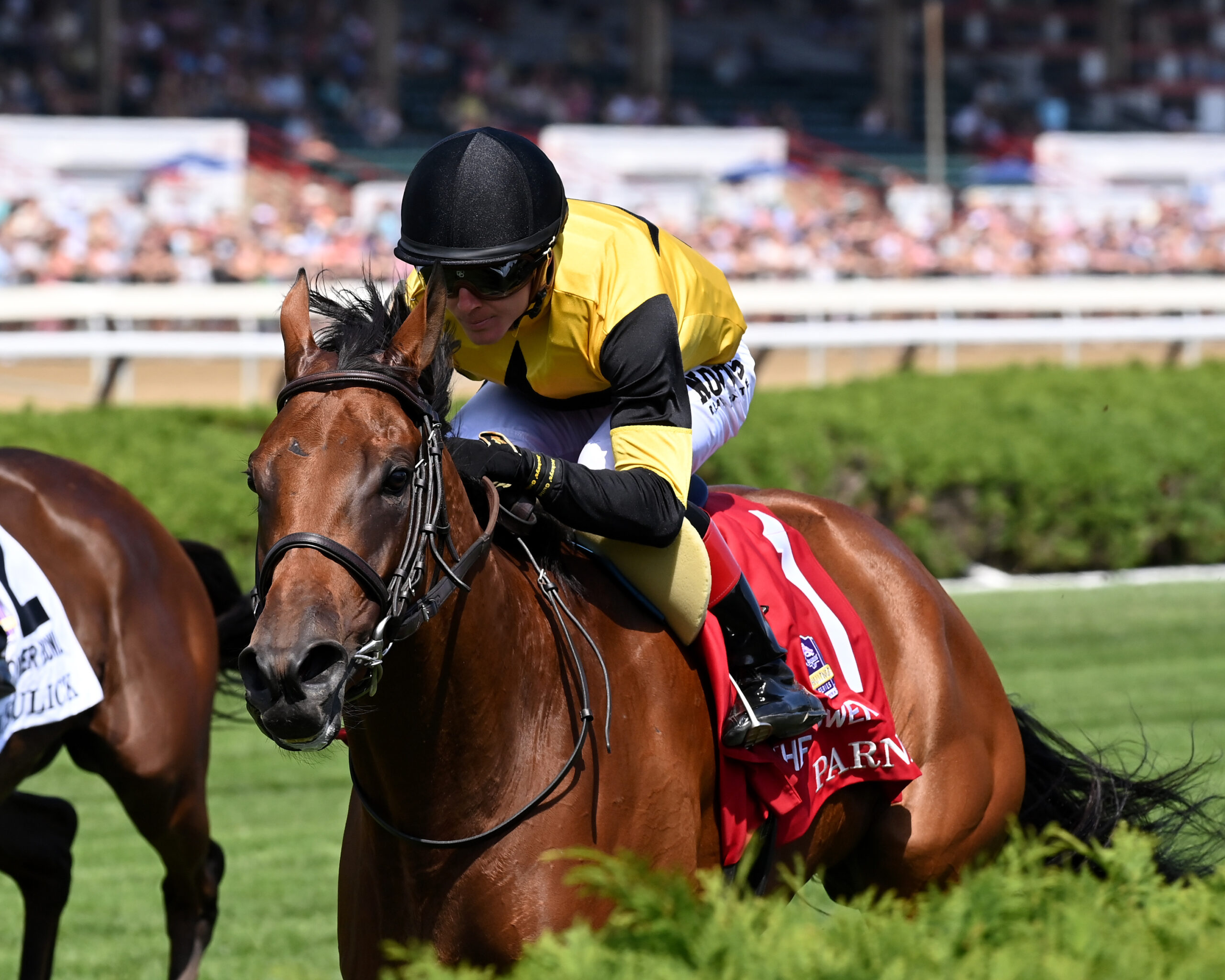 Parnac, horses, Zarak, Flower Bowl Stakes, sábado, 2 de septiembre de 2023, Saratoga. Foto: Coglaniese Photo & Chelsea Durand