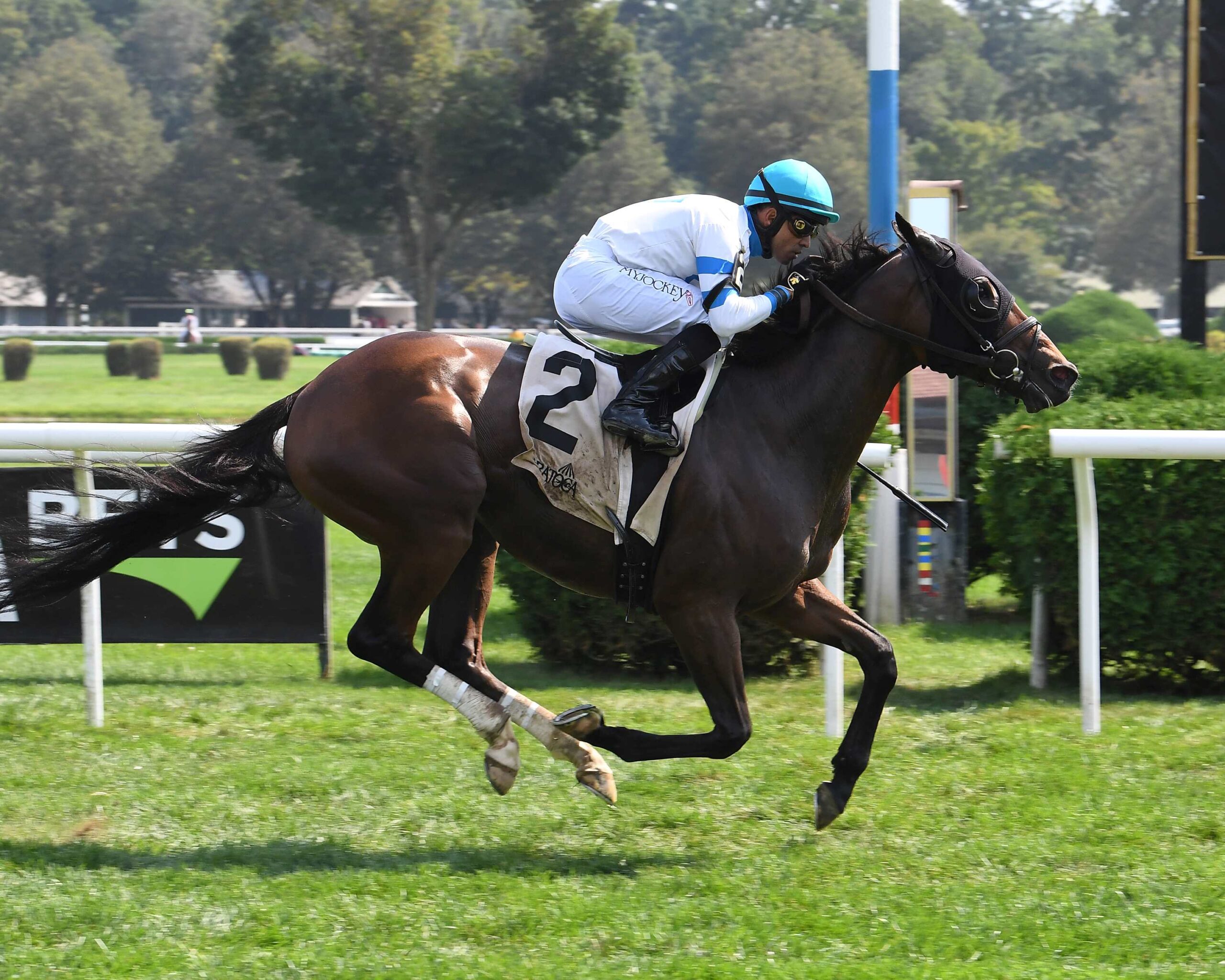 Pioneering Spirit, horses, American Pharoah, Bernard Baruch Hándicap, lunes, 4 de septiembre de 2023, Saratoga. Foto: Coglaniese Photo
