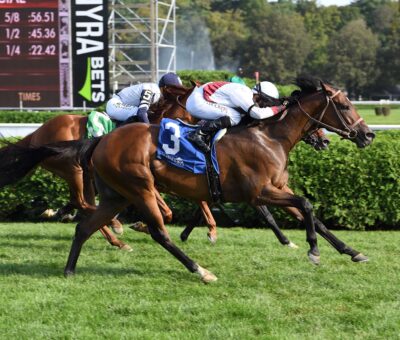 Thin White Duke, horses, Dominus, Harvey Pack Stakes, sábado, 2 de septiembre de 2023, Saratoga. Foto: Coglaniese Photo