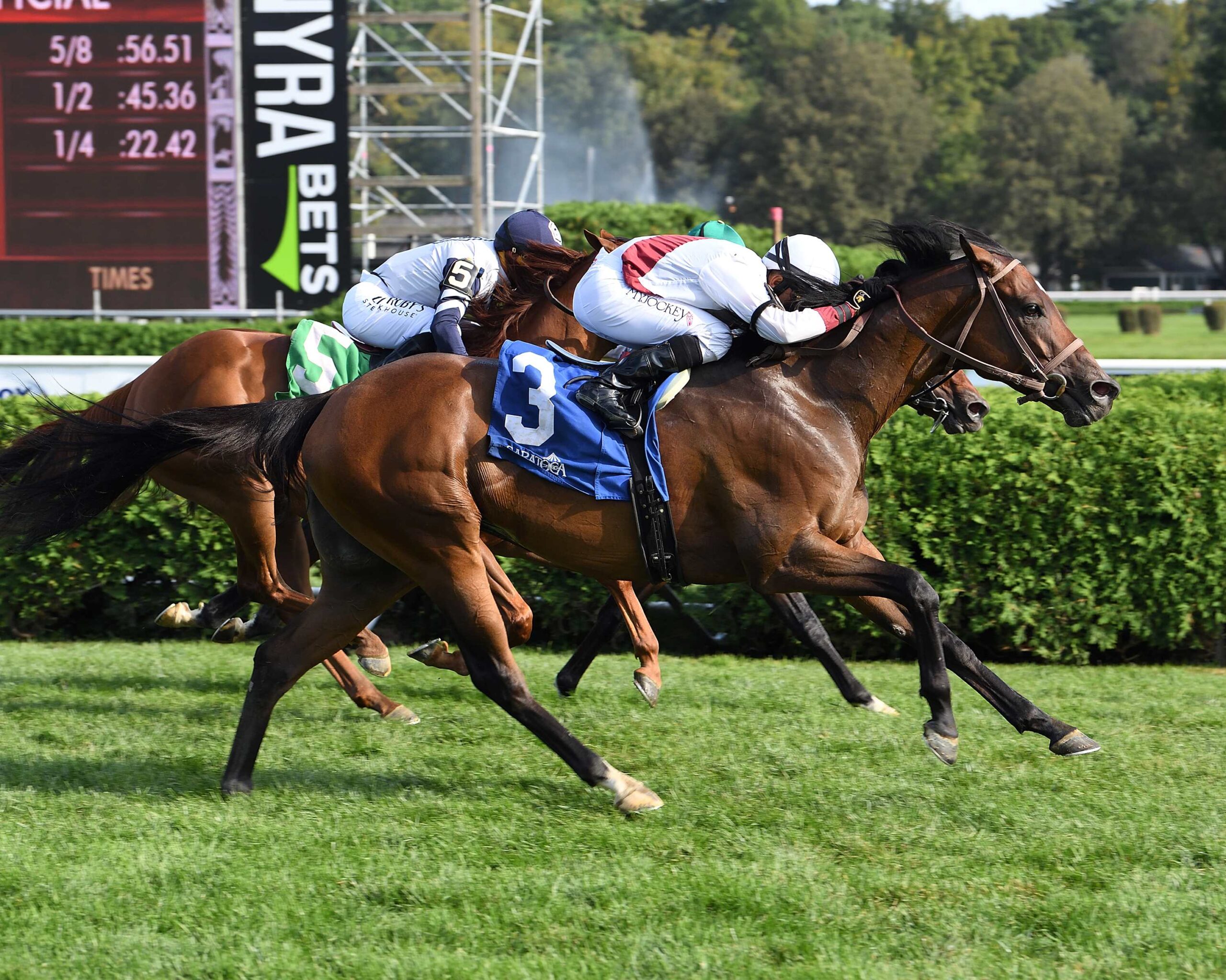 Thin White Duke, horses, Dominus, Harvey Pack Stakes, sábado, 2 de septiembre de 2023, Saratoga. Foto: Coglaniese Photo