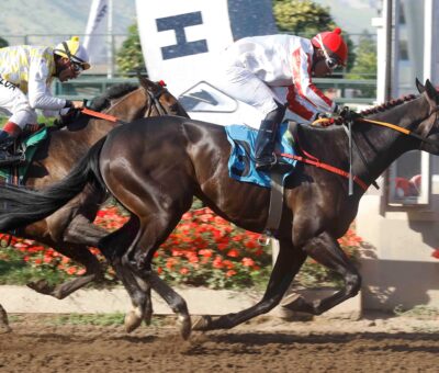 Black Knight, horse, Haras Don Alberto, Clásico Jaime García-Huidobro Domínguez, jueves, 26 de octubre de 2023, Hipódromo Chile. Foto: Jaime Cortés