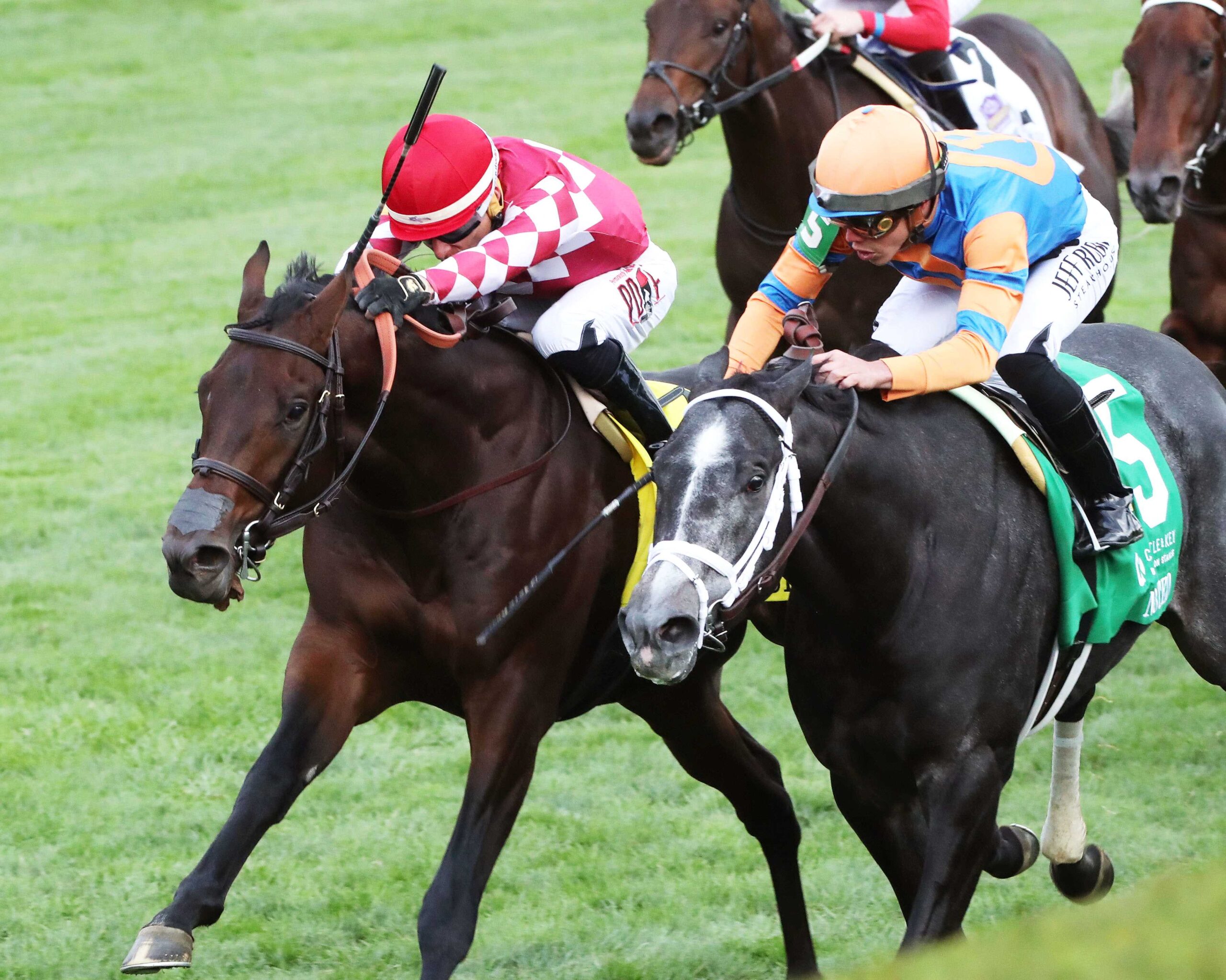 Can Group, horse, Wynnstay Inc., Castle Key Bourbon Stakes, domingo, 8 de octubre de 2023, Keeneland. Foto: Coady Photography