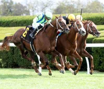Committee Of One, horses, Mendelssohn, Curlin, Indian Summer Stakes, domingo, 8 de octubre de 2023, Keeneland. Foto: Coady Photography