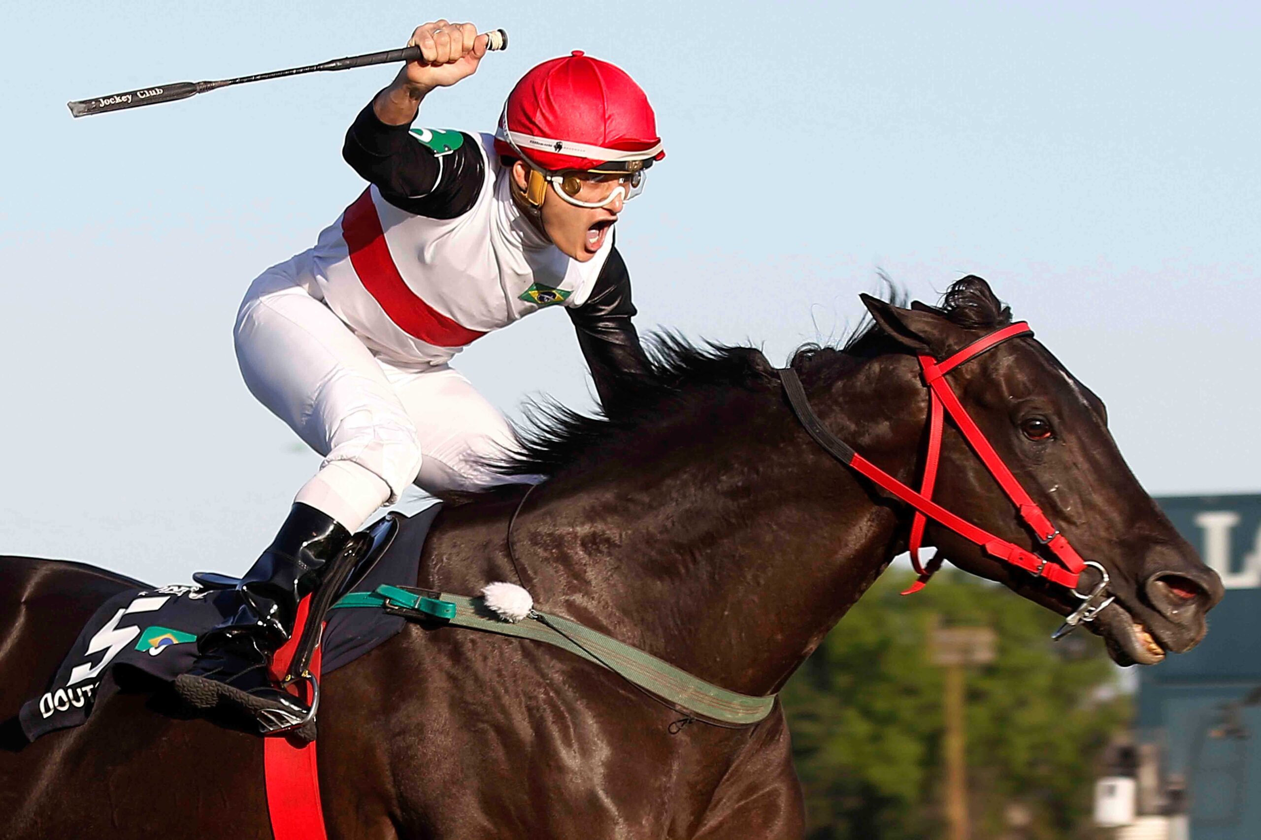 Doutor Sureño, horses, Agnes Gold, Longines Gran Premio Latinoamericano, sábado, 7 de octubre de 2023, Hipódromo de San Isidro. Foto: Jaime Cortés