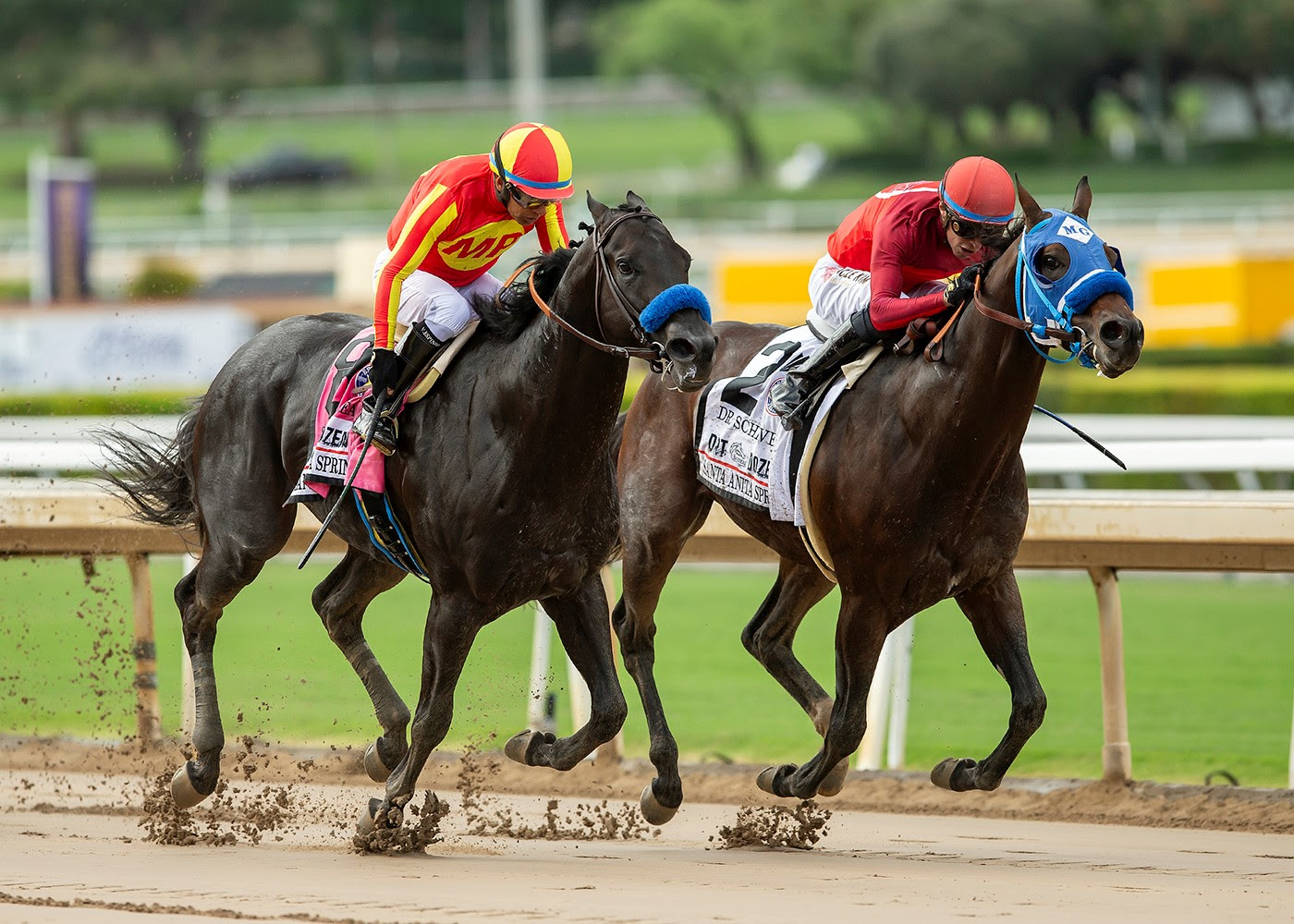 Dr. Schivel, Horses, Violence, Santa Anita Sprint Championship Stakes, sábado, 30 de septiembre de 2023, Santa Anita Park. Foto: Benoit Photo