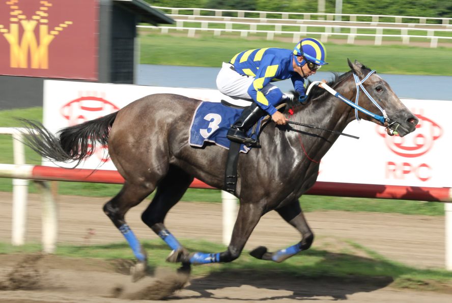 Feelgood Factor, horse, The Factor, Clásico General José Antonio Remón Cantera, sábado, 30 de septiembre de 2023, Presidente Remón. Foto: Erick Ruiz Prensa CODERE Panamá