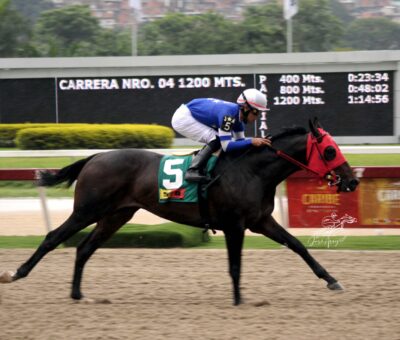 First Time, horse, Haras La Orlyana, Clásico Victoreado, domingo, 1 de octubre de 2023, La Rinconada. Foto: José Antonio Aray