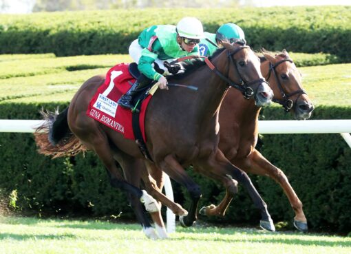 Gina Romantica, horse, Peter M. Brant, Fanduel First Lady Stakes, sábado, 7 de octubre de 2023, Keeneland. Foto: Coady Photography